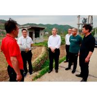 刘杰到金石镇调研指导乡村振兴时强调：用基层党建工作实效推动乡村全面振兴