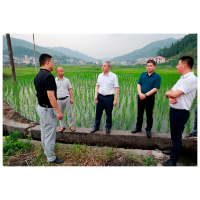 刘杰到伏口镇开展巡田时强调：压紧压实田长责任 积极推动工作落实 助力乡村振兴