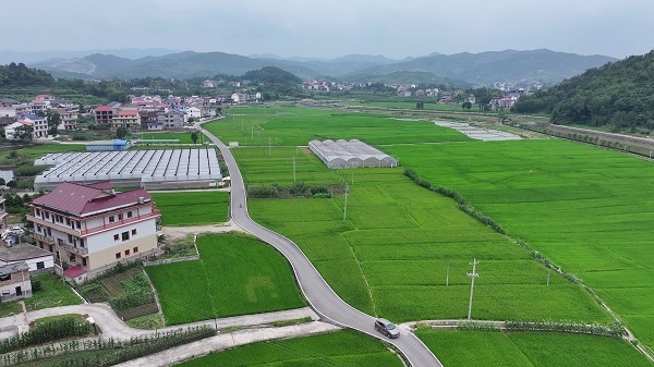DJI_20250610120119_0030_D[00-00-04][20250611-090520263].jpg