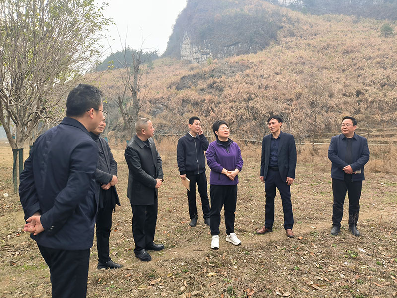 xie3.jpg