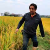 独臂单腿 他撑起了50亩田园和一个家