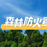 森林防火宣传