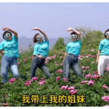 千亩花海迎客来 芍药花开惹人醉