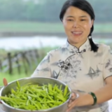 提早45天 “安民3月花”黄花菜进入采摘期