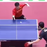 樊振东将征战全运会