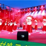 网红歌手+萌娃同台 引爆龙兴村仲夏夜