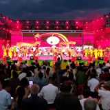 百万人在线围观！祁东龙兴村“夏季村晚”非遗盛宴震撼上演