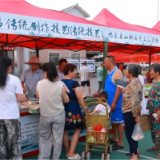 龙兴村全国“夏季村晚”系列活动乐翻天