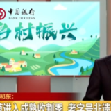 席草进入成熟收割季  老字号非遗产助农增收