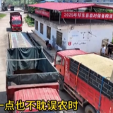 早稻大丰收 入仓“零时差”