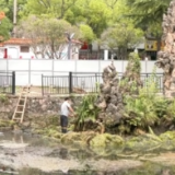 街心公园迎来大“护理”！市民休闲更舒心