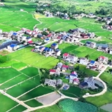 战高温 斗酷暑！祁东县2.25万亩高标准农田建设火热进行中