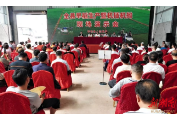 开局八好 乘势而上丨稻花香里说丰年 今年，衡阳市粮食总产量稳定在31.5亿公斤左右