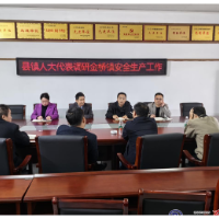 金桥镇人大代表调研安全生产工作