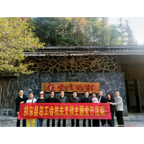 县总工会开展主题党日活动
