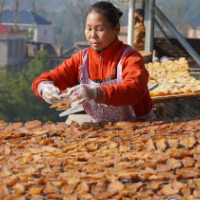 凤歧坪乡：村民忙晒红薯干 当地特产远名扬