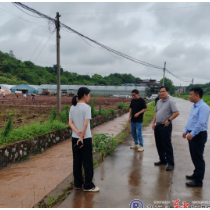 汛期期间白鹤街道加强河长制工作