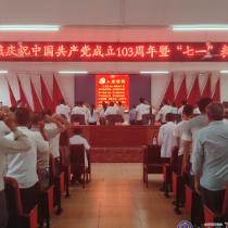 蒋家桥镇召开“七一”表彰大会