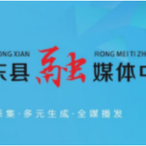 白地市镇进一步优化营商环境