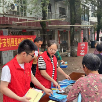 鸟江镇开展禁毒、信访、反电诈、平安创建等集中宣传活动