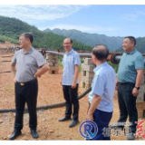 陈鹏督导生态环境问题整改工作