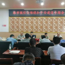 粮市镇调度信访维稳和平安建设工作