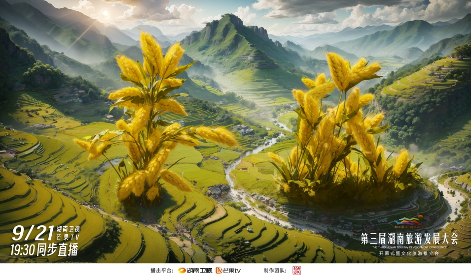 微信截图_20240914112658.png