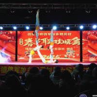 蒋家桥镇双元村举办第六届“春晚”