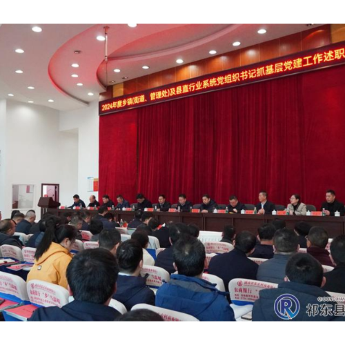 我县召开党组织书记抓基层党建工作述职评议会