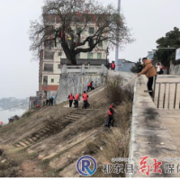 归阳镇：主题党日净河道 守护碧水践初心