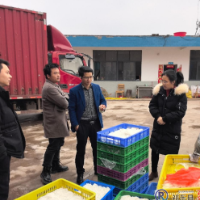 金桥镇多措并举助力企业复工复产