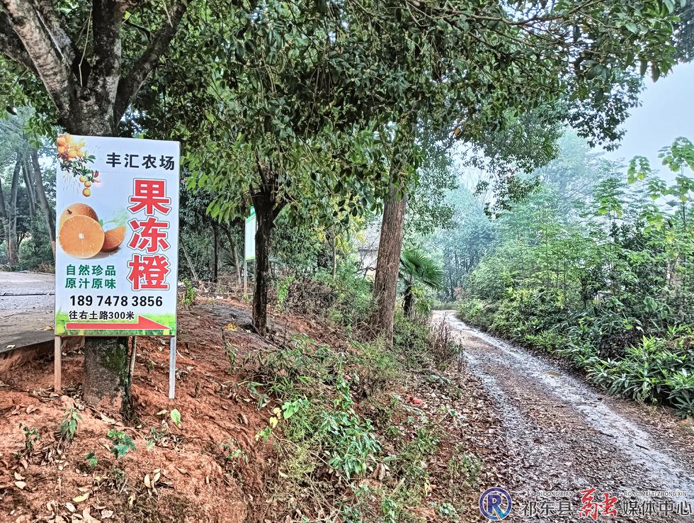 w_a3dadef5014ad0c51ae9d61688edbe79.jpg.jpg w_a3dadef5014ad0c51ae9d61688edbe79.jpg.jpg