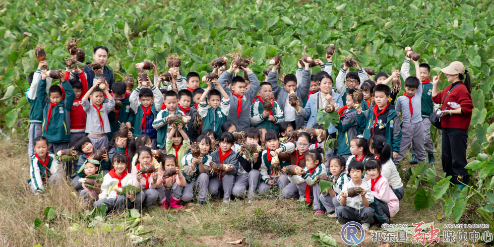 w_17.jpg.png w_17.jpg.png