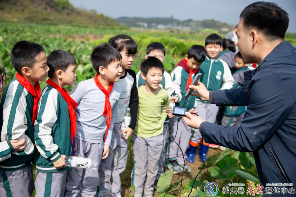 w_16.jpg.png w_16.jpg.png