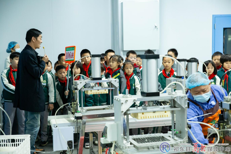 w_15.jpg.png w_15.jpg.png