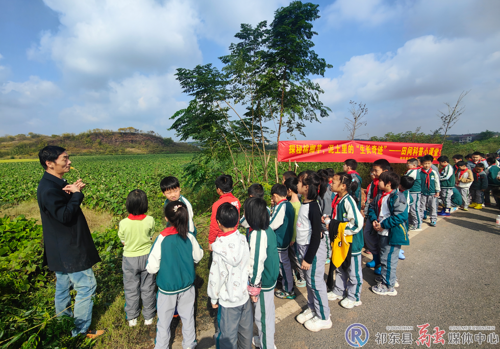 w_18.jpg.png w_18.jpg.png