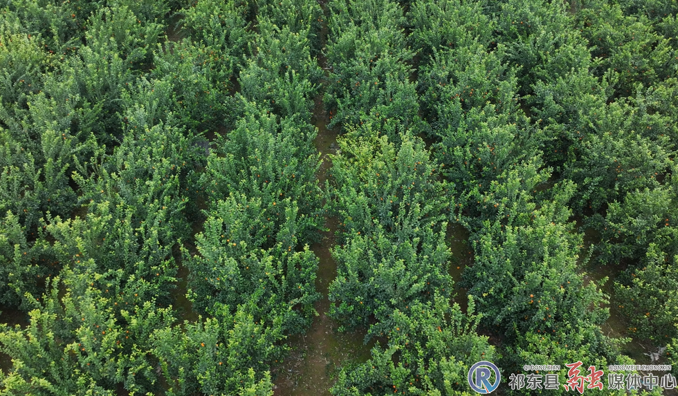 w_6f3f813deac099e728fd583fd394a525.jpg.png w_6f3f813deac099e728fd583fd394a525.jpg.png