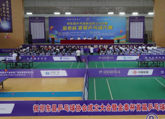 祁东县乒乓球协会成立