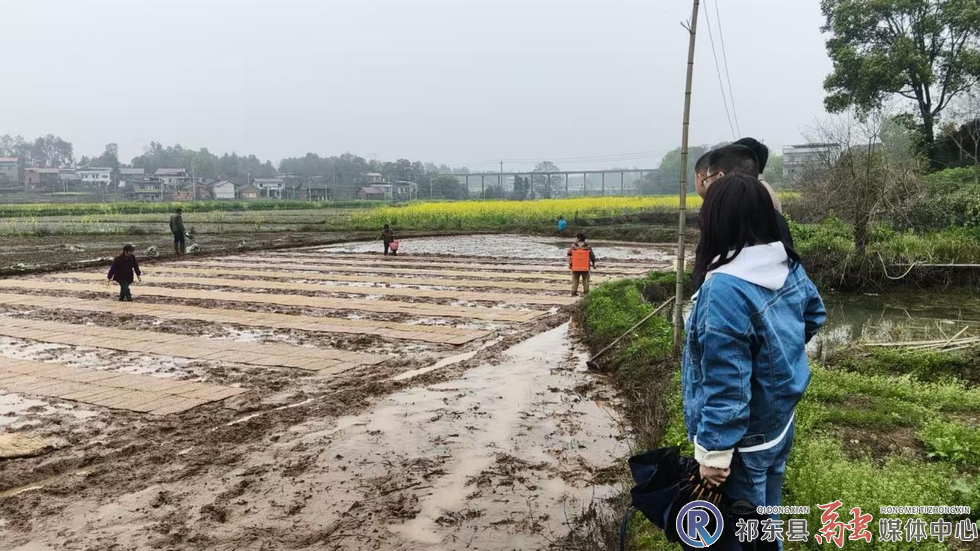 w_图片1.jpg.png w_图片1.jpg.png