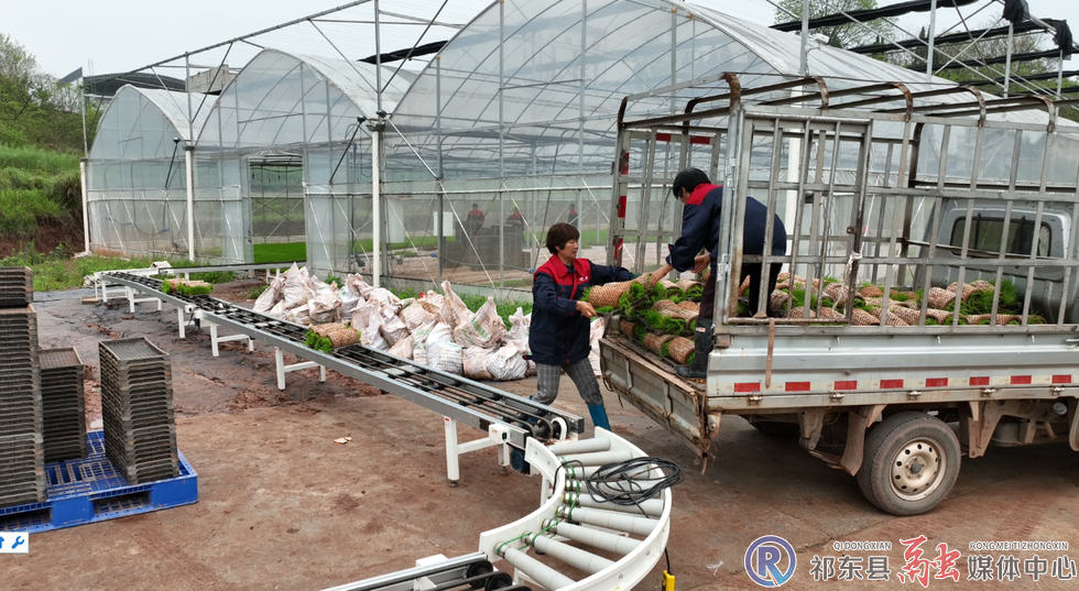 w_6a47581555ec9125d74255d6085751df.jpg.png w_6a47581555ec9125d74255d6085751df.jpg.png