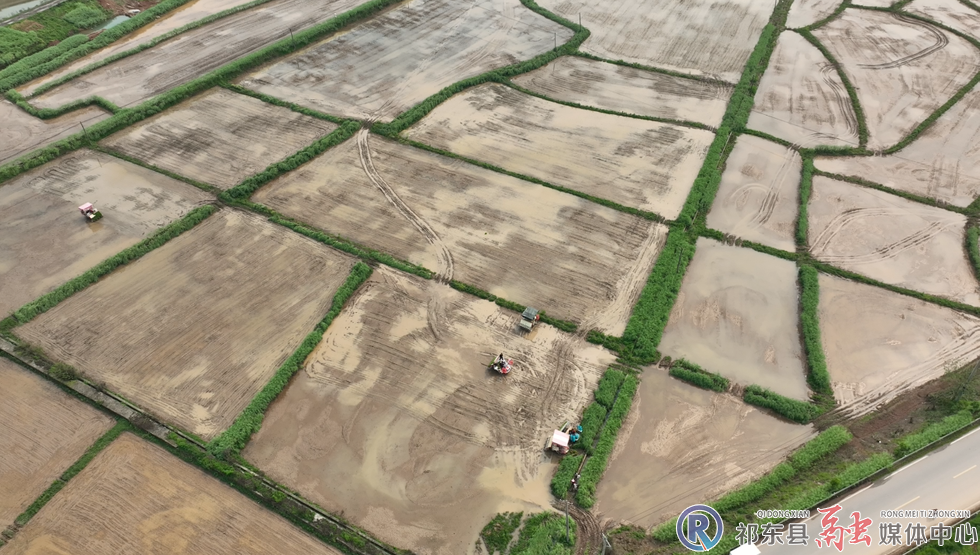 w_0447b4566786d323cbd66c606905041a.jpg.png w_0447b4566786d323cbd66c606905041a.jpg.png