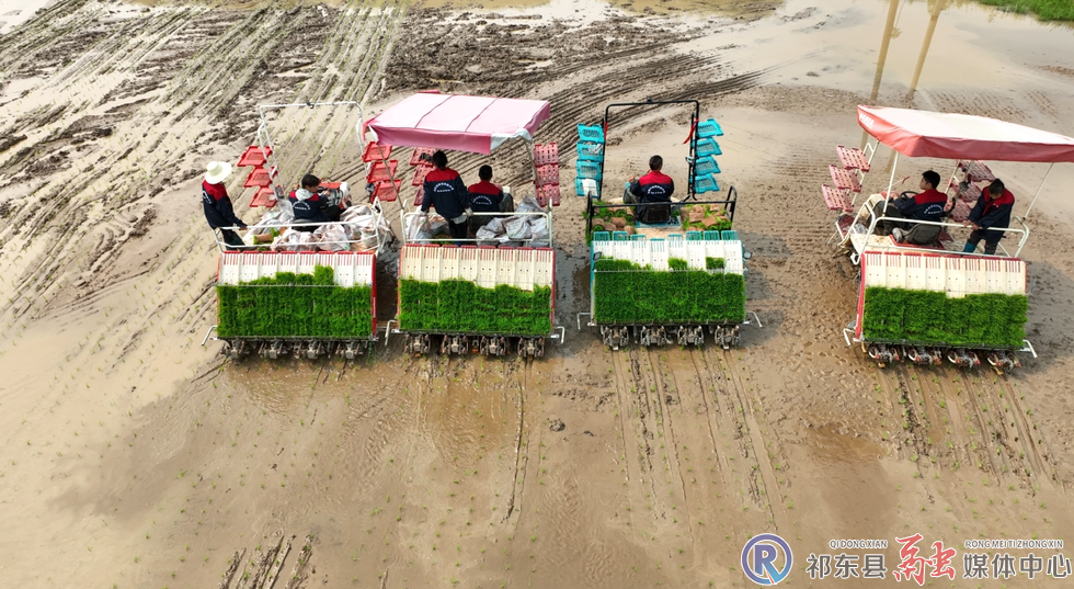 w_b9ebb9f5c450fada873309ff364dc2af.jpg.png w_b9ebb9f5c450fada873309ff364dc2af.jpg.png