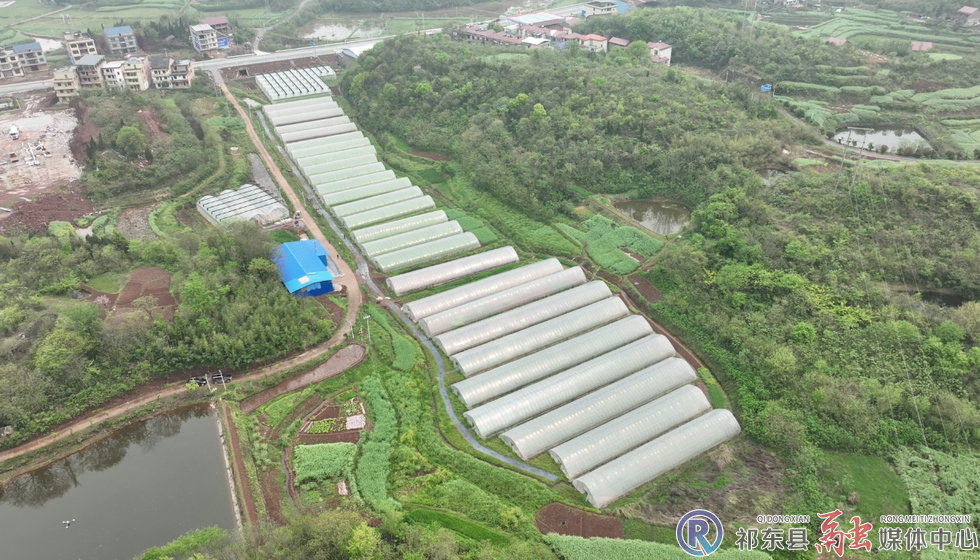 w_17b224ed46c76e96b398e6b51f4fc270.jpg.png w_17b224ed46c76e96b398e6b51f4fc270.jpg.png