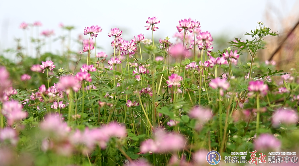 w_86b0c5505a76bf01f54de89db297c1fd.jpg.png w_86b0c5505a76bf01f54de89db297c1fd.jpg.png