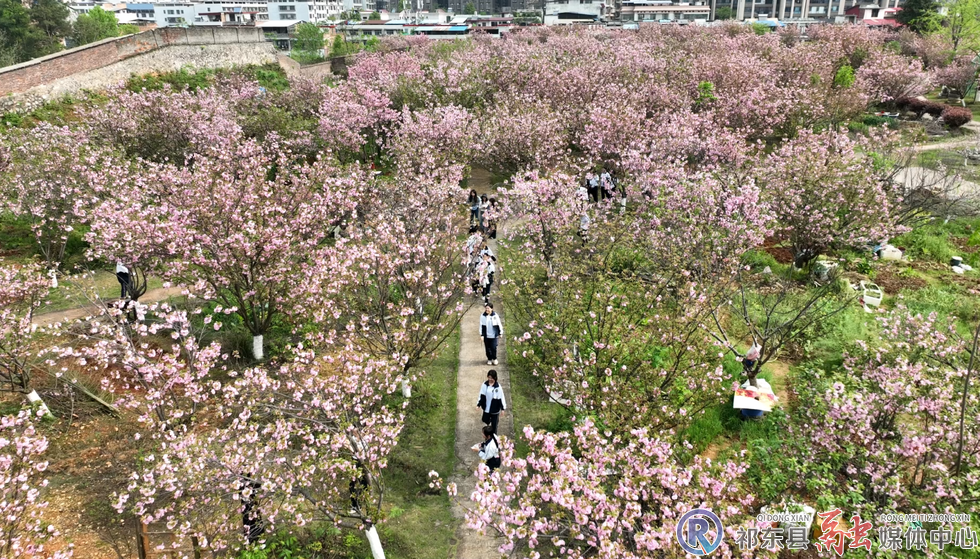 w_d54f2ea240e42d6972f3fe29220c52e8.jpg.png w_d54f2ea240e42d6972f3fe29220c52e8.jpg.png