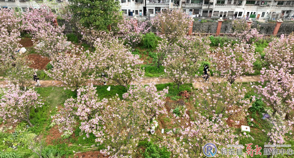 w_766e298ee78b11291a97b427d4c3bc8b.jpg.png w_766e298ee78b11291a97b427d4c3bc8b.jpg.png