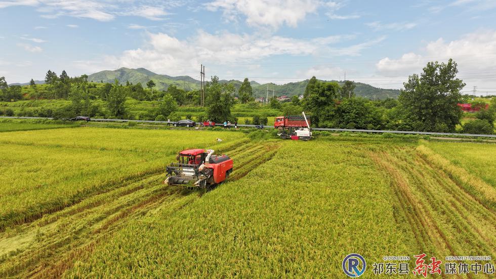w_DJI_20260724104122_0039_D_副本.jpg.jpg w_DJI_20260724104122_0039_D_副本.jpg.jpg