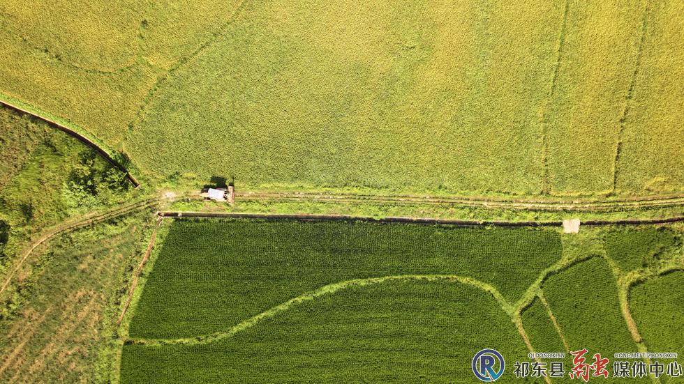 w_DJI_20260724092209_0019_D.jpg.JPG