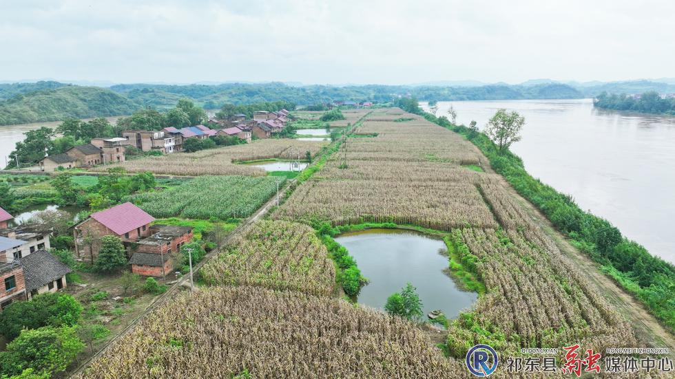 w_DJI_20260831094042_0308_D_副本.jpg.jpg w_DJI_20260831094042_0308_D_副本.jpg.jpg