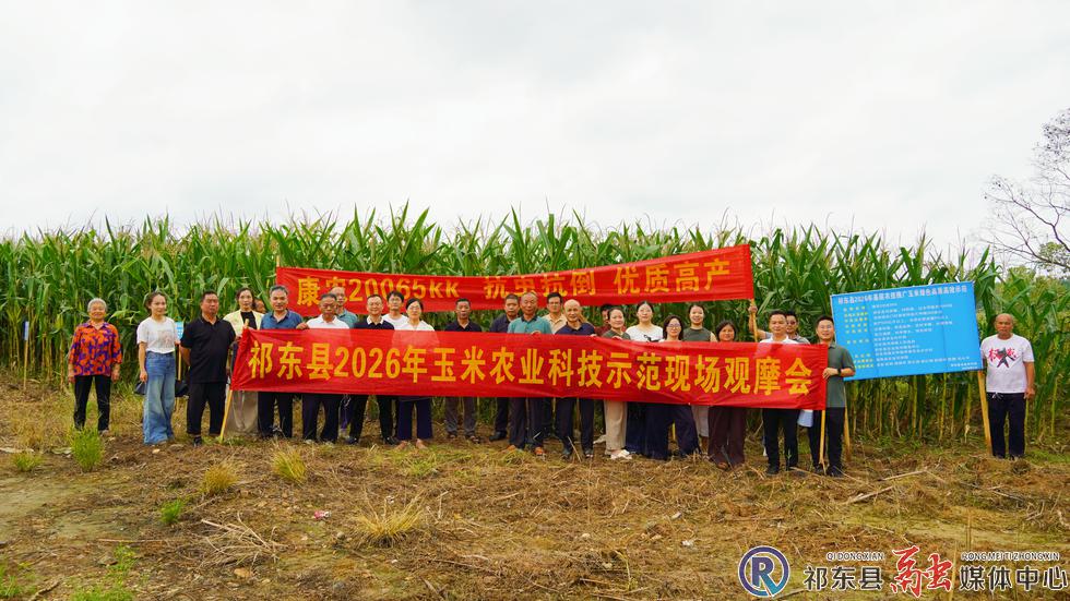 w_DSC08547_副本.jpg.jpg w_DSC08547_副本.jpg.jpg